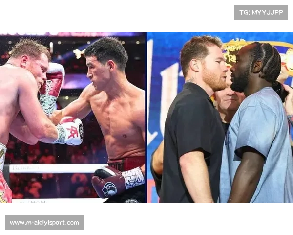 专家普遍看好阿瓦雷兹，克劳福德爆冷难度大